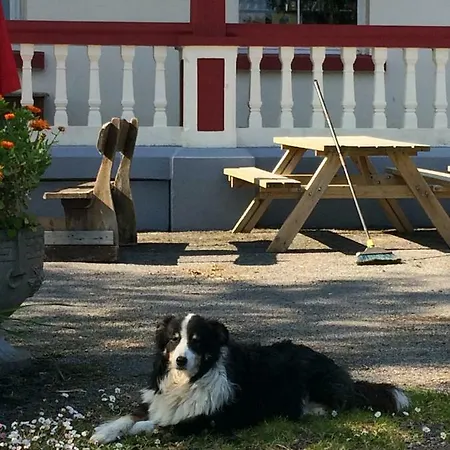 Bed & Breakfast Staigue Fort House *